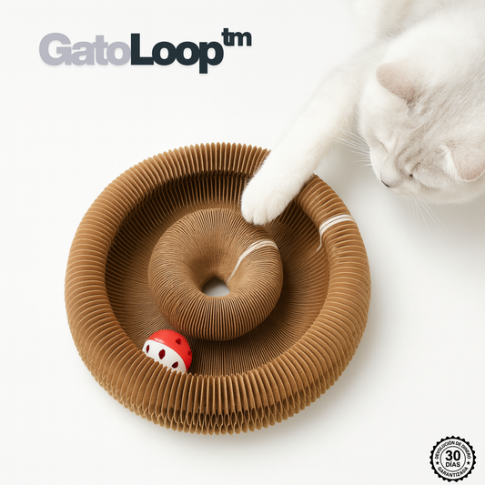 GatoLoop - El juguete orgánico favorito de tu gato