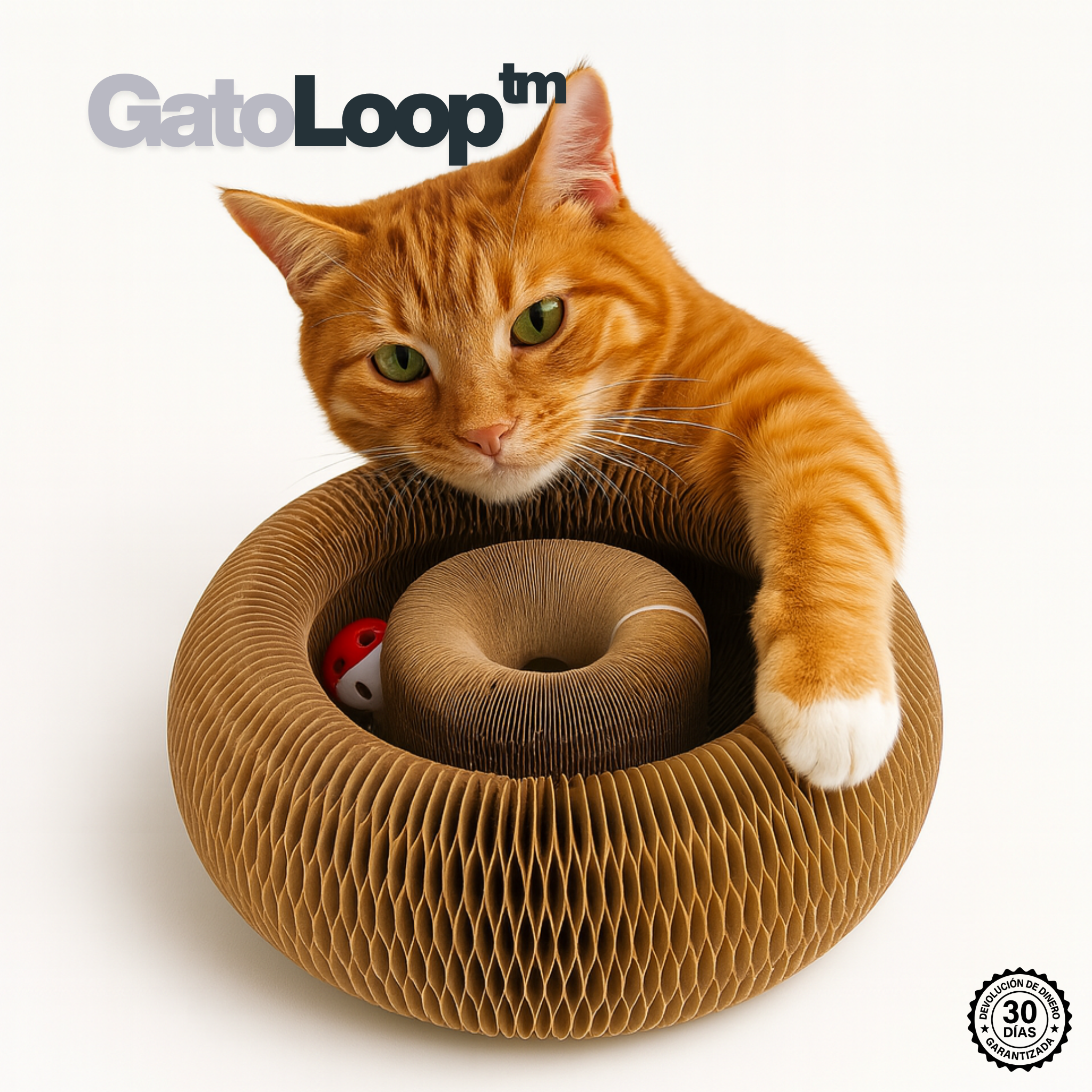 GatoLoop - El juguete orgánico favorito de tu gato