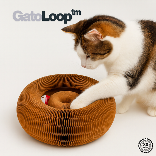 GatoLoop - El juguete orgánico favorito de tu gato